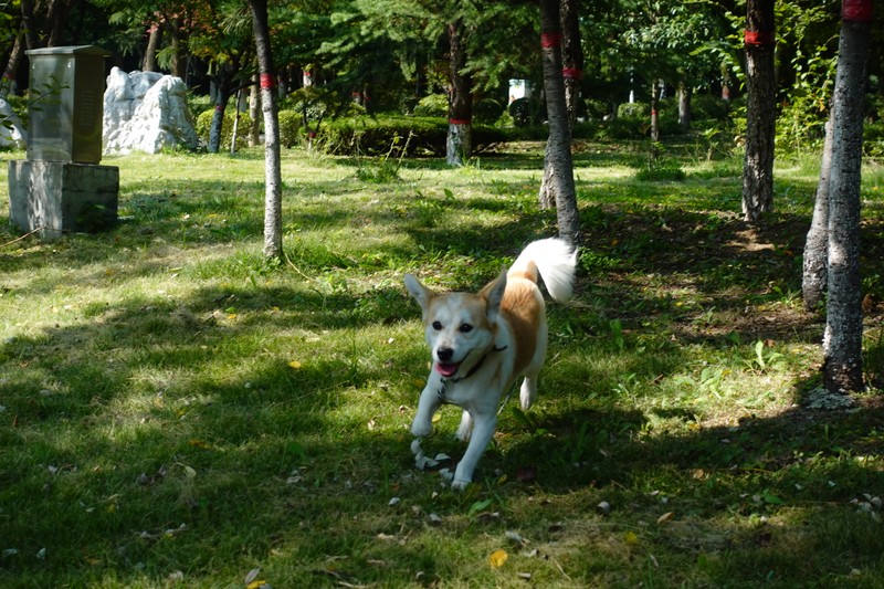 20231014T04192420231014T041924_v1